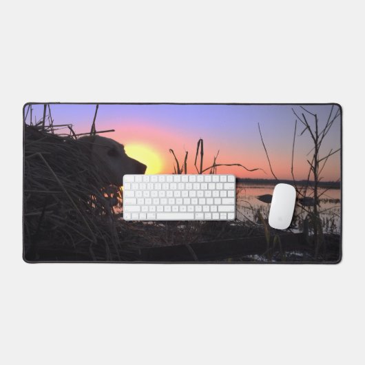 Sur le point dans l'aveugle de canard (Clavier et souris)