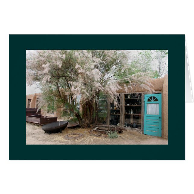 Sur le sentier Turquoise (Devant horizontal)