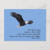 Sur les ailes comme Eagles Carte postale (Devant)