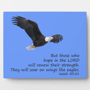 Sur les ailes comme la Plaque des Aigles