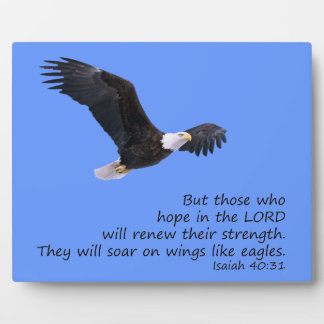 Sur les ailes comme la Plaque des Aigles