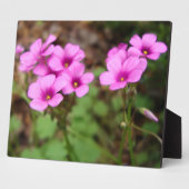 Sur ma Plaque Photo Porte (Côté)