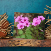 Sur ma Plaque Photo Porte (Côté)