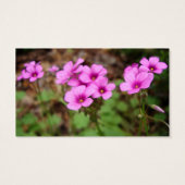 Sur mes Signets de porte (Dos)