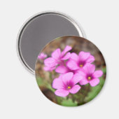 Sur mon aimant de porte (Recto/Verso)