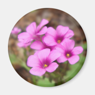 Sur mon aimant de porte