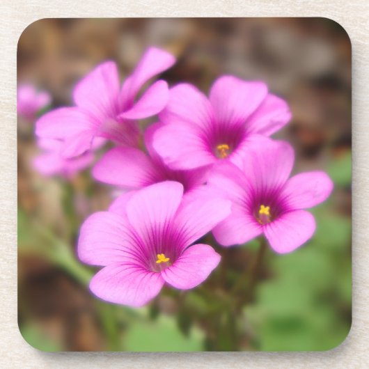 Sur mon Dessous de verre de liège (Devant)