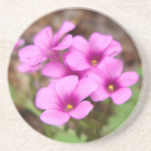 Sur mon Dessous de verre Porte