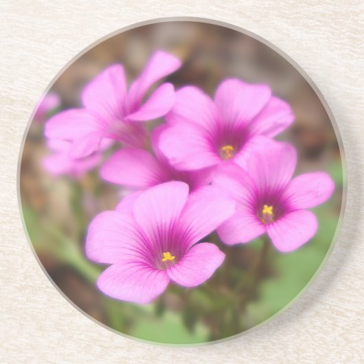 Sur mon Dessous de verre Porte (Devant)