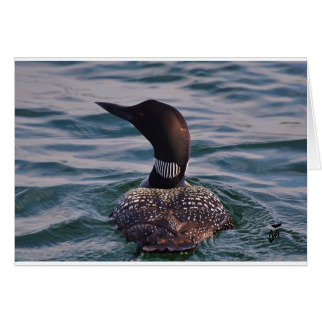 Sur sa queue (Devant Horizontal)