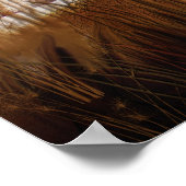 Sur son trône sauvage Poster d'art / Imprimer (Coin)