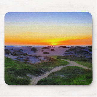 SURF BEACH CALIFORNIA MUISMAT