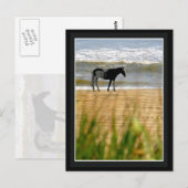 Surf Briefkaart (Voorkant / Achterkant)