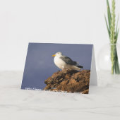 SURF ! Carte d'anniversaire (Dos)