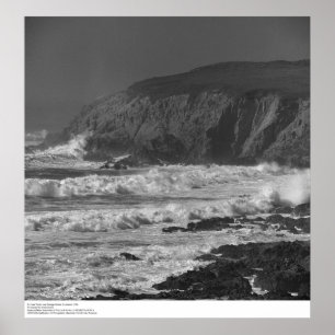 Surf en Rocks nabij Bodega, station 1966 Poster