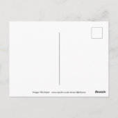 Surf omhoog briefkaart (Achterkant)