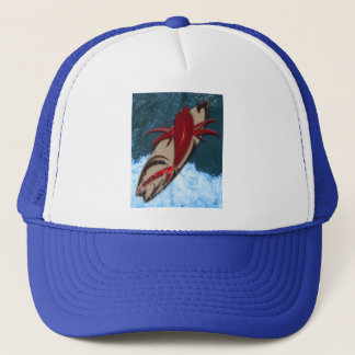 Surf omhoog trucker pet