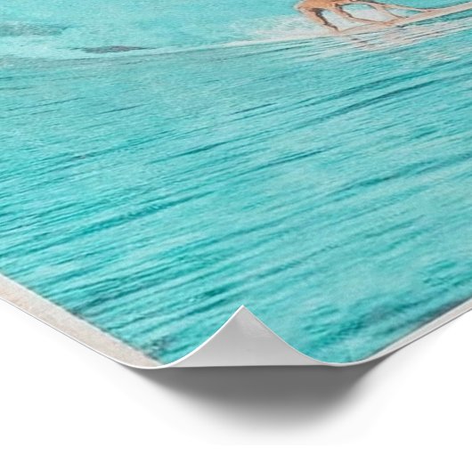  surf omhulsel poster (Hoek)