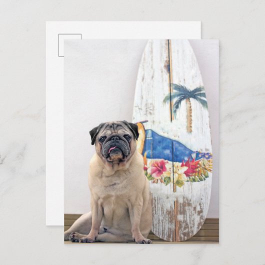 Surf Pug Briefkaart (Voorkant / Achterkant)