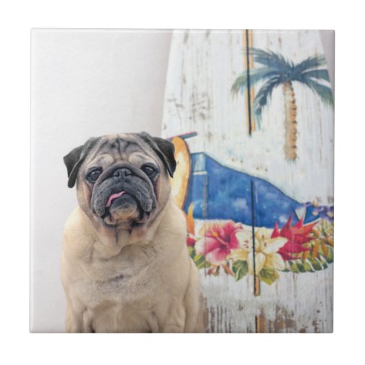 Surf Pug Tegeltje (Voorkant)