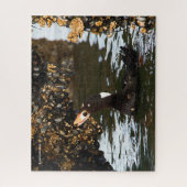 Surf Scoter Feasting Mussels and Barnacles Legpuzzel (Verticaal)