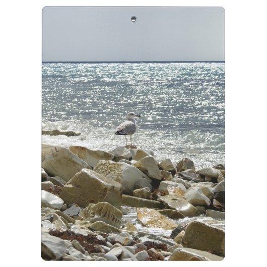 surf van zeegarend en zee klembord (Achterkant)
