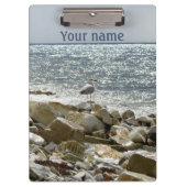 surf van zeegarend en zee klembord (Voorkant)