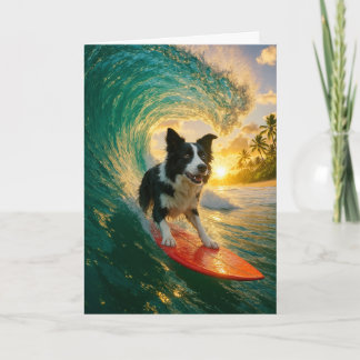 Surfen op Border Collie Kaart