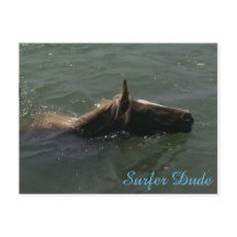 Surfer guy Briefkaart