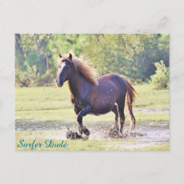 Surfer guy Wading Briefkaart