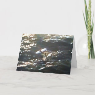 "SURFER LA MER" TOUTE CARTE D'OCCASION