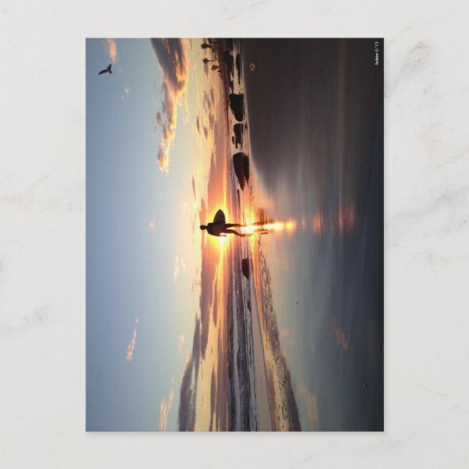 Surfer Sunset Post Card Briefkaart (Voorkant)
