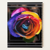 Surfer sur le Rose Rainbow (Dos)