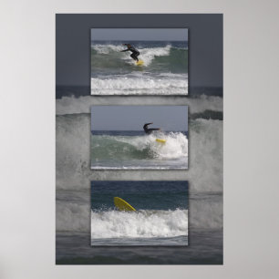 surferdrieluik poster