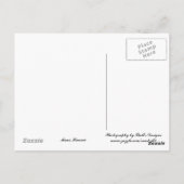 Surfin de Wave... Briefkaart (Achterkant)