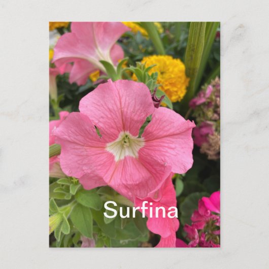 Surfina Briefkaart (Voorkant)