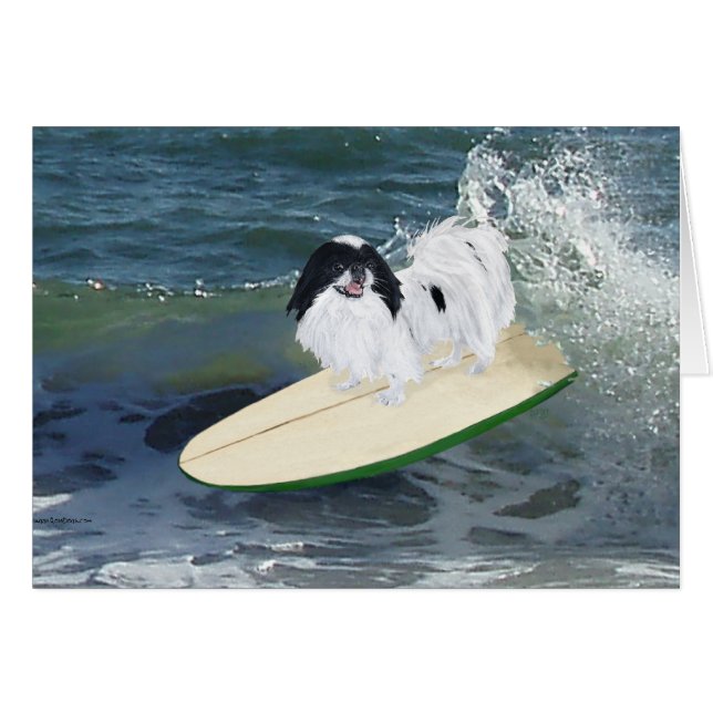 Surfing de Chin Japonais (Devant horizontal)