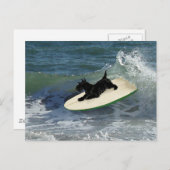 Surfing Scottish Terrier Briefkaart (Voorkant / Achterkant)