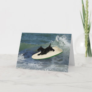 Surfing Scottish Terrier Kaart