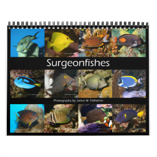 Surgeonfishes Wall Calendar van J.W. Fatherree. Kalender
