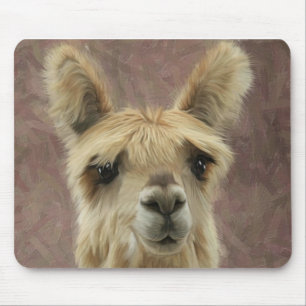 Suri Alpaca Muismat
