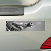 Suricaat Bumpersticker (Op auto)