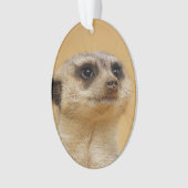 Suricate 2014-1101 (devant)