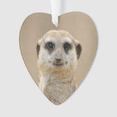 Suricate_2015_0211 (devant)
