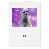 Suricate avec éclat, carte d'anniversaire (Dos)
