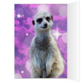 Suricate avec éclat, carte d'anniversaire (Intérieur (Gauche))