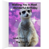 Suricate avec éclat, carte d'anniversaire (Intérieur (Droit))