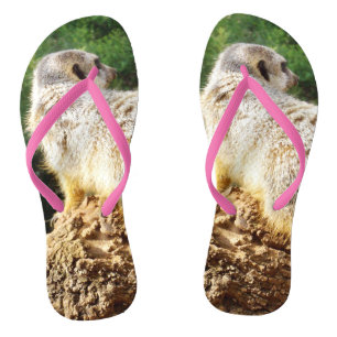 Suricate Je vois, Tongs