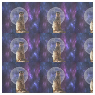 Suricate par une nuit de pleine lune, tissu