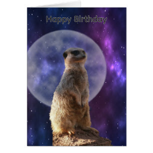 Suricate sous la pleine lune bleue, carte d'annive
